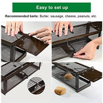 Cargue la imagen en el visor de la galería, RatzFatz® Lebendfalle 2.0 Ratte, Groß Premium Wiederverwendbar, Rattenfalle Mausefalle Lebend, 2 Türen, Ersetzt Schlagfallen, Siebenschläfer XXL, Tragegriff, Tierfalle, Modell Quickcatch 2.0 RatzFatz