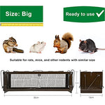 Cargue la imagen en el visor de la galería, RatzFatz® Lebendfalle 2.0 Ratte, Groß Premium Wiederverwendbar, Rattenfalle Mausefalle Lebend, 2 Türen, Ersetzt Schlagfallen, Siebenschläfer XXL, Tragegriff, Tierfalle, Modell Quickcatch 2.0 RatzFatz